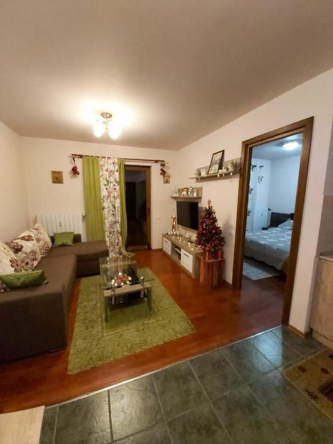 Andra Apartment Синая Екстериор снимка