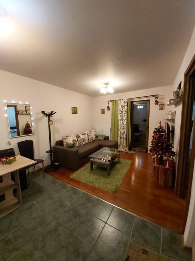 Andra Apartment Синая Екстериор снимка
